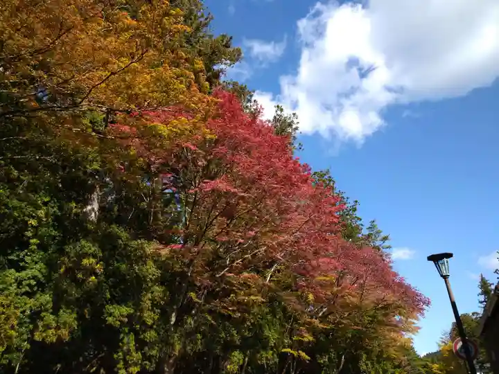 壇上伽藍(和歌山県)