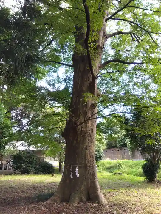 春日神社(福井県)