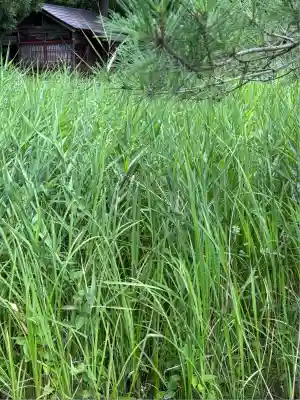 安久津八幡神社(山形県)