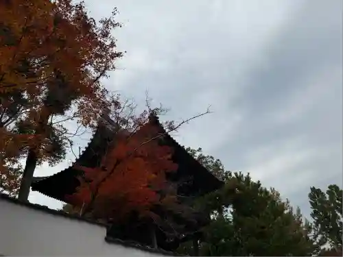 井山 宝福寺(岡山県)