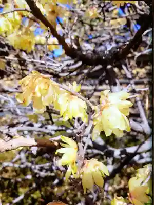 福蔵院(東京都)