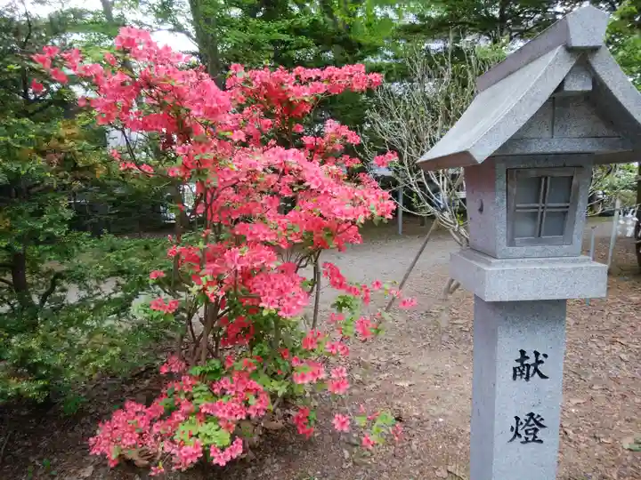信濃神社のその他建物