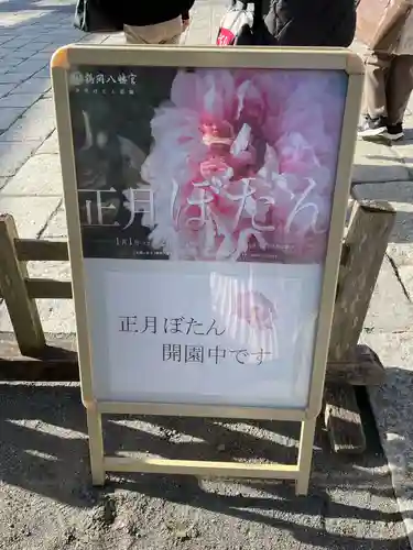 鶴岡八幡宮の体験その他