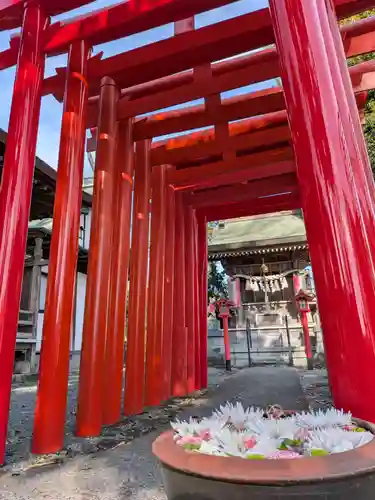 相模原氷川神社(神奈川県)