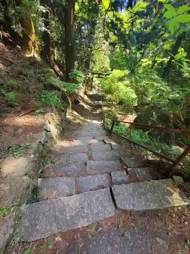 名草厳島神社の自然