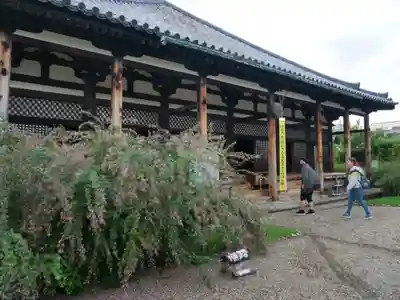 元興寺の本殿・本堂