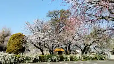 光徳寺(群馬県)
