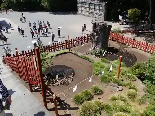 鶴岡八幡宮の庭園