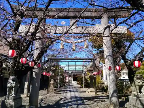 白山神社（榎白山神社）の鳥居