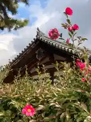 法隆寺(奈良県)