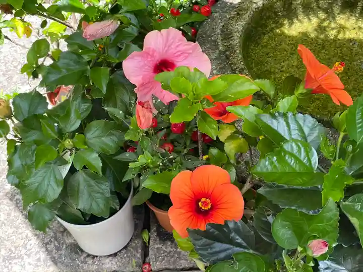 勝林寺(京都府)