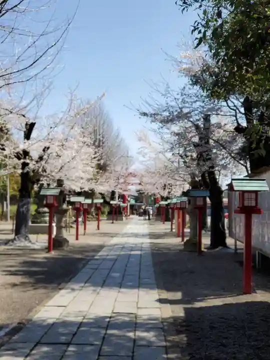 鷲宮神社(埼玉県)