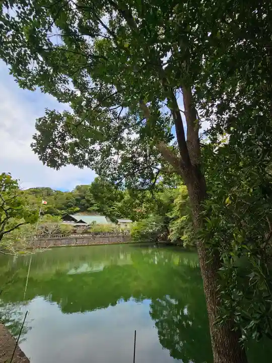 安房神社(千葉県)