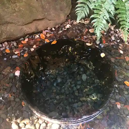 明治神宮の庭園