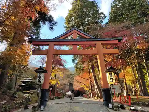 日吉大社の鳥居