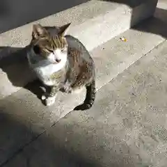 小野照崎神社の動物