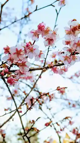 成田山新勝寺の自然