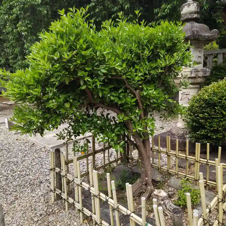 土呂八幡宮(愛知県)