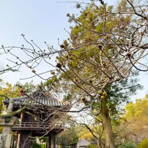 伊勢の国 四天王寺(三重県)