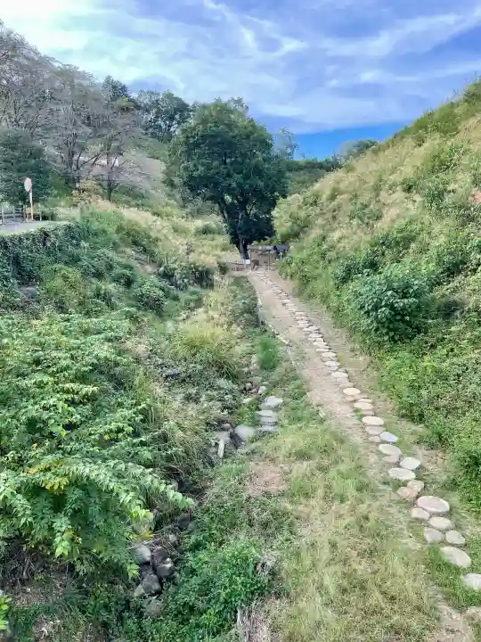 寳光寺 鹿野大佛(東京都)