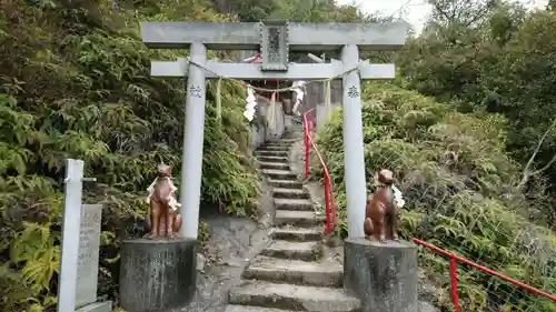 玉比咩神社の鳥居