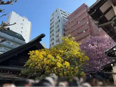 蔵前神社の{uncategorized: "未分類", other: "その他", undefined: "問題あり", building: "その他建物", grave: "お墓", sacred_gate: "鳥居", guardian: "狛犬", statue: "像", buddha: "仏像", history: "歴史", nature: "自然", garden: "庭園", animal: "動物", pagoda: "塔", temizu: "手水舎", mountain_gate: "山門・神門", sanctuary: "本殿・本堂", subordinate: "末社・摂社", art: "芸術", scenery: "景色", jizo: "地蔵", ema: "絵馬", goshuin: "御朱印", omikuji: "おみくじ", items: "授与品その他", amulet: "お守り", goshuincho: "御朱印帳", eats: "食事", festival: "お祭り", votive_dance: "神楽", shichigosan: "七五三参", wedding: "結婚式", experience: "体験その他", initially: "初詣", around: "周辺", anti_infection: "感染症対策"}