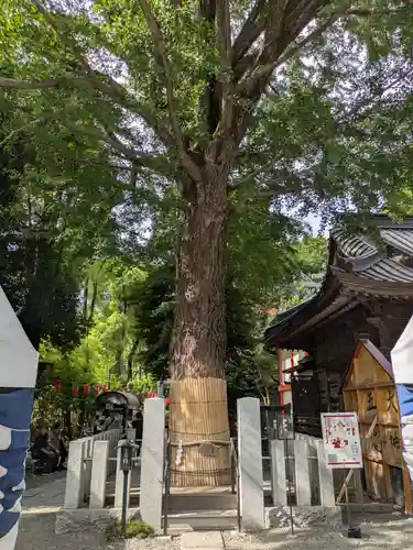 田無神社(東京都)
