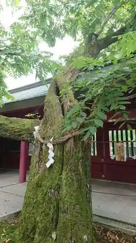 笠間稲荷神社の自然