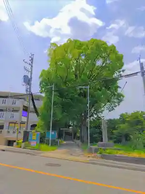 須佐之男神社の自然