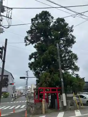 一本杉稲荷神社のその他建物