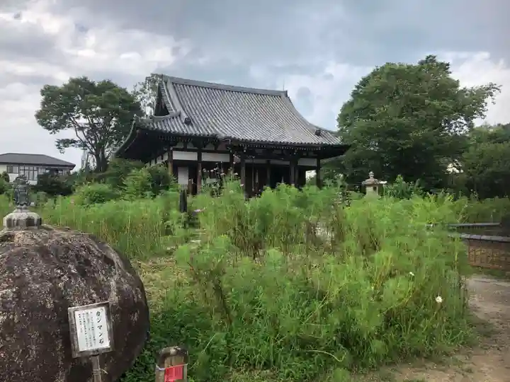 般若寺 ❁コスモス寺❁のその他建物