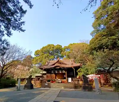代々木八幡宮の本殿・本堂