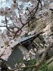 三神社の自然