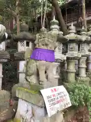 鹿嶋神社の狛犬