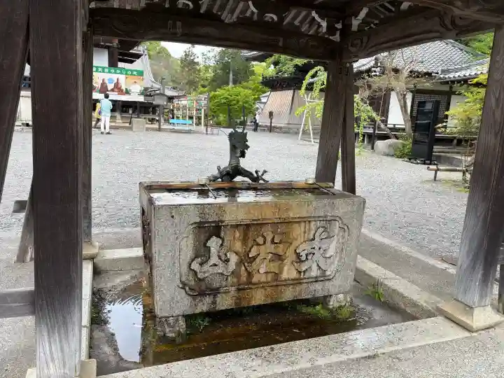 西教寺の{uncategorized: "未分類", other: "その他", undefined: "問題あり", building: "その他建物", grave: "お墓", sacred_gate: "鳥居", guardian: "狛犬", statue: "像", buddha: "仏像", history: "歴史", nature: "自然", garden: "庭園", animal: "動物", pagoda: "塔", temizu: "手水舎", mountain_gate: "山門・神門", sanctuary: "本殿・本堂", subordinate: "末社・摂社", art: "芸術", scenery: "景色", jizo: "地蔵", ema: "絵馬", goshuin: "御朱印", omikuji: "おみくじ", items: "授与品その他", amulet: "お守り", goshuincho: "御朱印帳", eats: "食事", festival: "お祭り", votive_dance: "神楽", shichigosan: "七五三参", wedding: "結婚式", experience: "体験その他", initially: "初詣", around: "周辺", anti_infection: "感染症対策"}