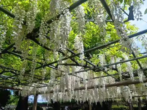 曼陀羅寺(愛知県)