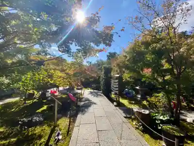 勝林寺(京都府)