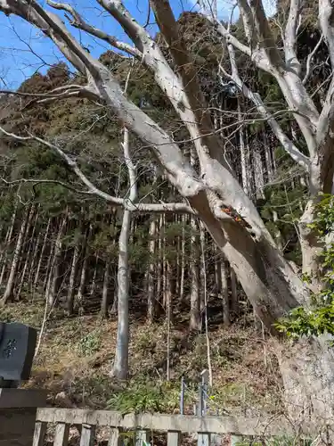 函館八幡宮(北海道)