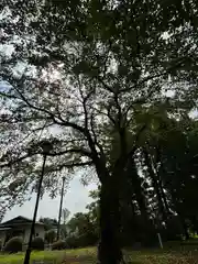 矢吹神社(福島県)