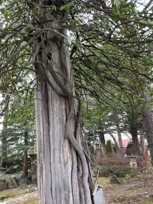 山部神社の御朱印
