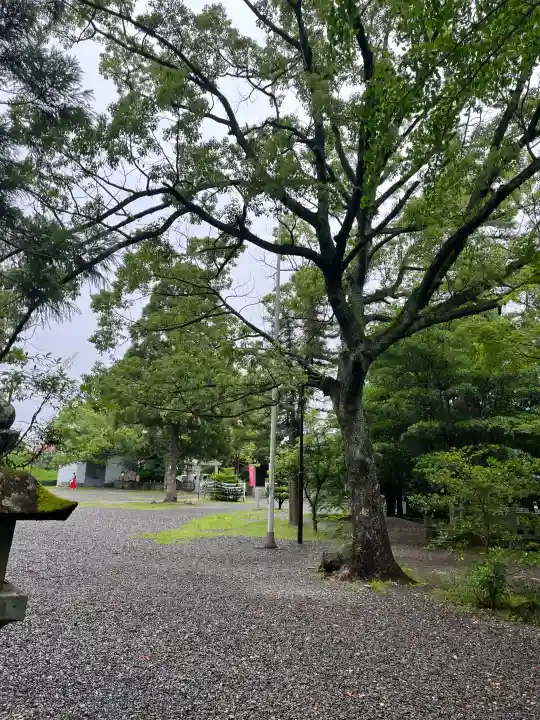 闘鶏神社(和歌山県)
