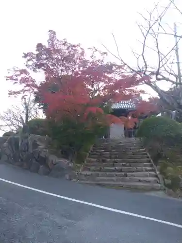 法輪寺の山門