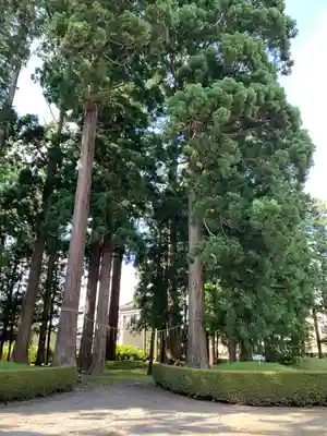 熊野神社(岩手県)