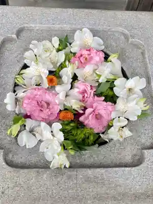 大松禅寺(京都府)