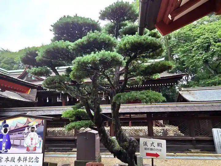 住吉神社(山口県)