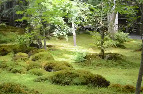 祇王寺(京都府)