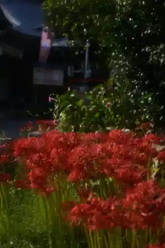 磐井神社の自然