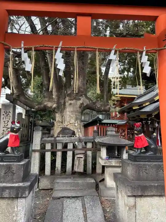 満足稲荷神社の{uncategorized: "未分類", other: "その他", undefined: "問題あり", building: "その他建物", grave: "お墓", sacred_gate: "鳥居", guardian: "狛犬", statue: "像", buddha: "仏像", history: "歴史", nature: "自然", garden: "庭園", animal: "動物", pagoda: "塔", temizu: "手水舎", mountain_gate: "山門・神門", sanctuary: "本殿・本堂", subordinate: "末社・摂社", art: "芸術", scenery: "景色", jizo: "地蔵", ema: "絵馬", goshuin: "御朱印", omikuji: "おみくじ", items: "授与品その他", amulet: "お守り", goshuincho: "御朱印帳", eats: "食事", festival: "お祭り", votive_dance: "神楽", shichigosan: "七五三参", wedding: "結婚式", experience: "体験その他", initially: "初詣", around: "周辺", anti_infection: "感染症対策"}