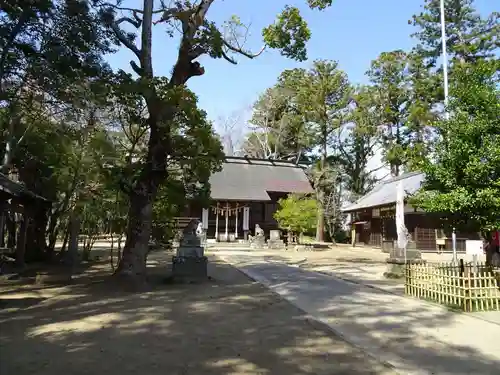 橘樹神社の本殿・本堂