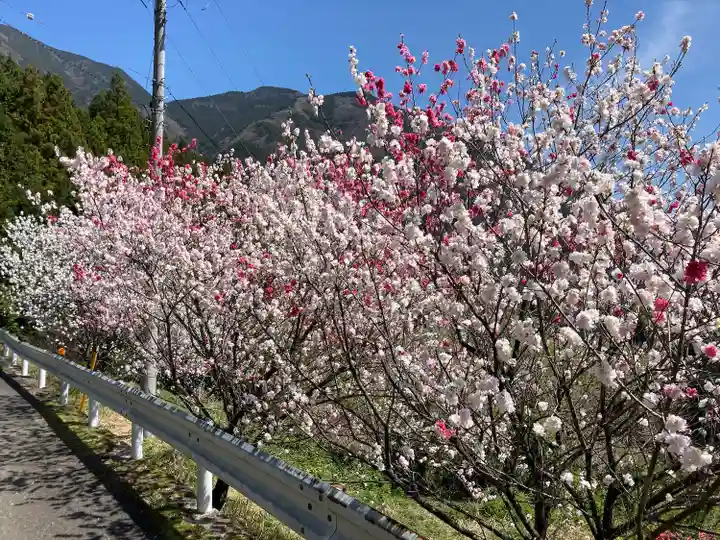 大宮八幡神社(愛媛県)